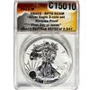 Image 4 : 2013-W Silver Eagle ANACS RP70DCAM 2 Coin Set
