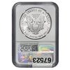 Image 2 : 1989 American Silver Eagle NGC MS69