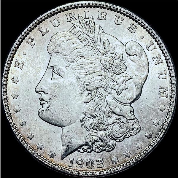 1902 Morgan Silver Dollar CHOICE AU
