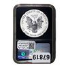 Image 2 : 2013-W American Silver Eagle 1oz NGC PF70