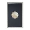 Image 2 : 1883-CC Morgan Silver Dollar