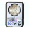 Image 2 : 1925 Silver Peace Dollar NGC MS64