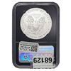 Image 2 : 2020-W American Silver Eagle 1oz NGC MS70 Burnished