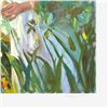 Image 2 : Sweet Scents by Hatfield Don