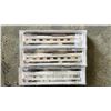 Image 2 : 2 RAPIDO TRAINS INC THE CANADIAN PRESTIGE CLASS TWO CHATEAU SLEEPERS & PARK CAR N SCALE MODEL