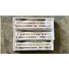 Image 2 : 2 RAPIDO TRAINS INC THE CANADIAN COACH, CHATEAU SLEEPER & MANOR SLEEPER N SCALE MODEL TRAINS