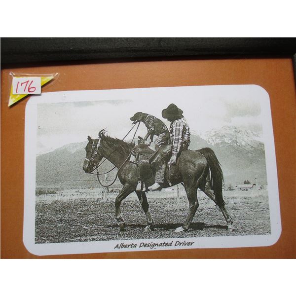 CUSTOM FRAMED PICTURE "ALBERTA DESIGNATED DRIVER"