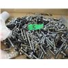 Image 1 : CAN C/W ASSORTED SMALL BOLTS (HALF FULL)