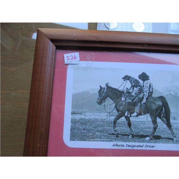 FRAMED "ALBERTA DESIGNATED" DRIVER PICTURE