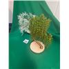 Image 1 : (2) Ming Trees