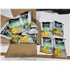Image 1 : Lot of 16 jalapeno and lime plantain chips- 85g bags