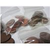 Image 4 : Bag of Canadian One Cent Coins.