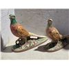 Image 2 : 1960's chalkware pheasents- 12" by 10"H