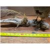 Image 2 : taxidermy bird and a branch