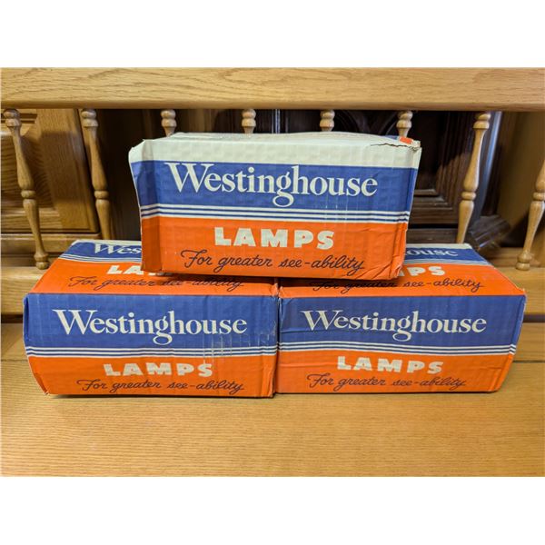 (3) Westing House 18v Light Bulbs