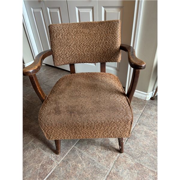 Brown Shaggy Armchair