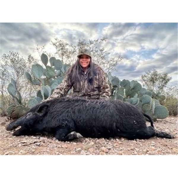 3-Day, 2-Night Hog Hunt for 4 Hunters