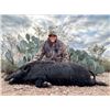 Image 1 : 3-Day, 2-Night Hog Hunt for 4 Hunters
