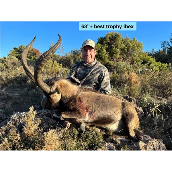 2 SOUTHEASTERN IBEX 2 HUNTERS, 1 TROPHY SIZE 1 MANAGEMENT SIZE INCLUDED!
