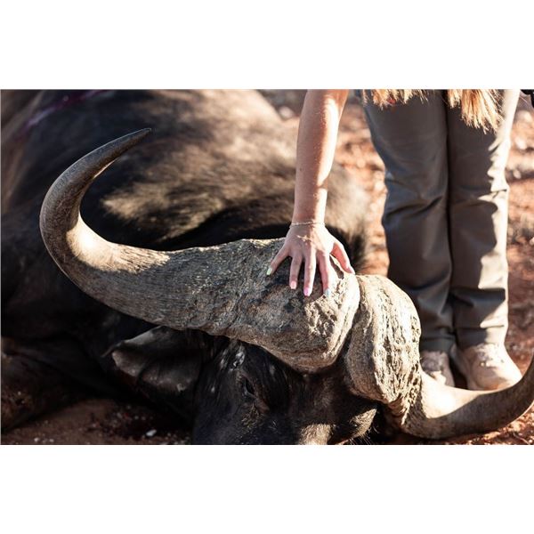 2 HUNTERS 6 DAYS IN AFRICA w/ TROPHY CREDITS