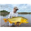 Image 1 : ARGENTINA 2 HUNTERS 1 DAY GOLDEN DORADO FISHING PLUS 4 HUNTING DAYS
