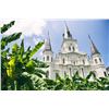 Image 5 : NEW ORLEANS JAZZ & DINING, 3 NIGHT STAY FOR 2 PLUS EXPERIENCES