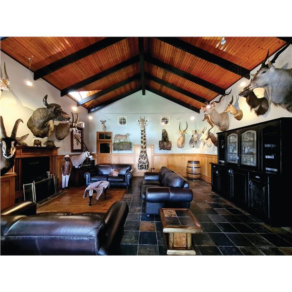 AFRICA 2 HUNTERS 6 DAYS 2 KUDU TROPHIES INCLUDED