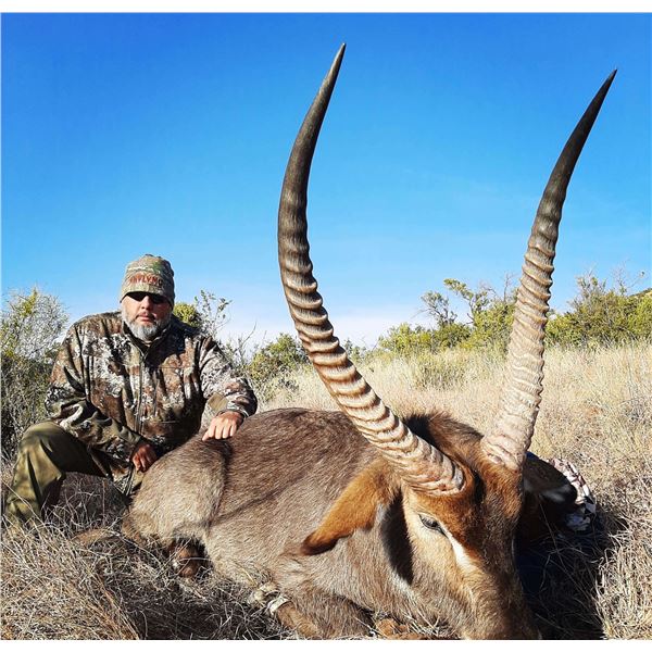 AFRICA RSA 6 HUNTING DAYS, 1-4 HUNTERS + UP TO $8,000 TROPHY CREDIT, $2,000 PER HUNTER,