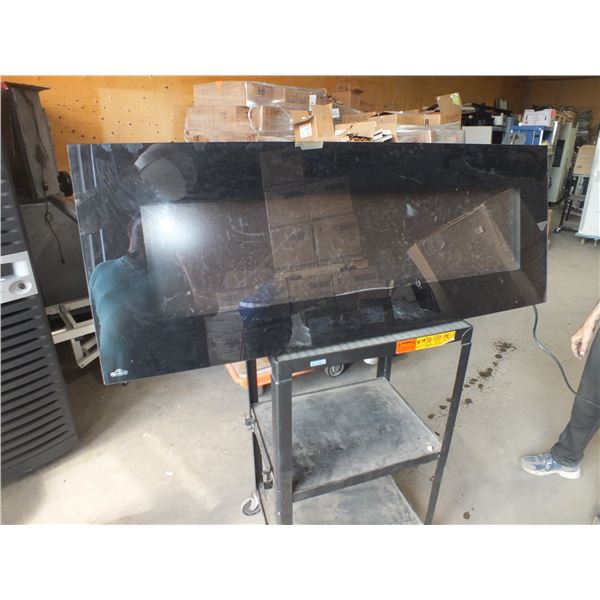 Napoleon Electric Fire Place Insert