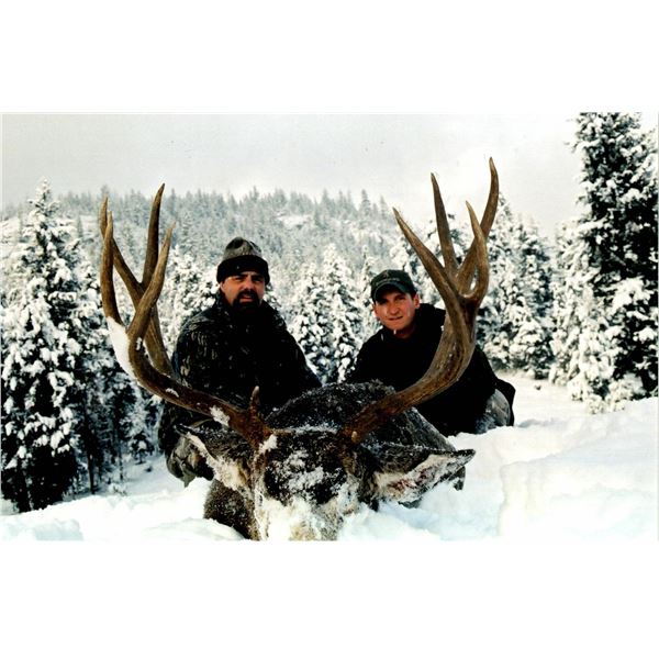 7 Day Mule Deer Rut Hunt for 2 Hunters