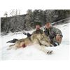 Image 1 : 7 Day Winter Wolf Hunt for 2 Hunters