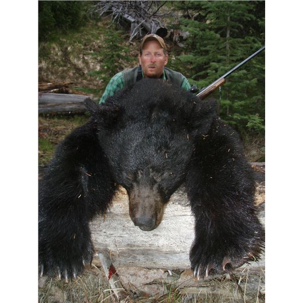 7 Day Spring Black Bear Hunt for 2 Hunters