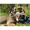 Image 3 : 7 Day Mule Deer Alpine Hunt for 2 Hunters