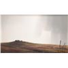 Image 1 : Harold L. Lyon framed oil on board painting, titled on verso" Lone Bird", signed by artist 12" X 20"