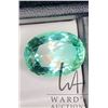 Image 1 : 15.15 ct Certified Hiddenite gemstone, Certificate provided by consignor
