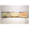 Image 1 : Richard Dixon, three unframed acrylic on board painting of Alberta skylines, artist signed,  each 9"