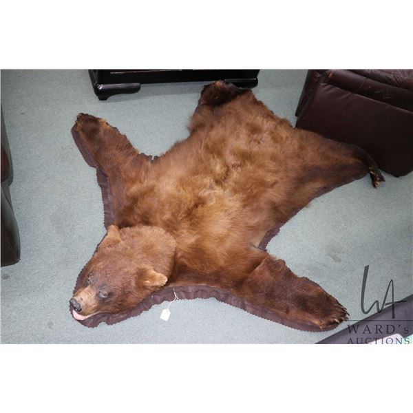 Bear skin rug with felt backing 71" nose to tail   Note: Canadian bidders only