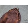Image 3 : Bear skin rug with felt backing 71" nose to tail   Note: Canadian bidders only