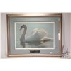 Image 1 : Robert Bateman signed limited edition print, titled "Back Light-Mute Swan" 538/950, pencil signed by