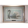 Image 2 : Robert Bateman signed limited edition print, titled "Back Light-Mute Swan" 538/950, pencil signed by