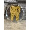 Image 3 : Tooth Fairy Gift Coin - 10 Pack - New