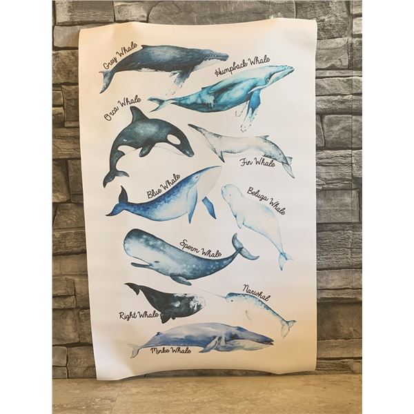 Hanging Wall Signs - Whales - Set of 2 - New