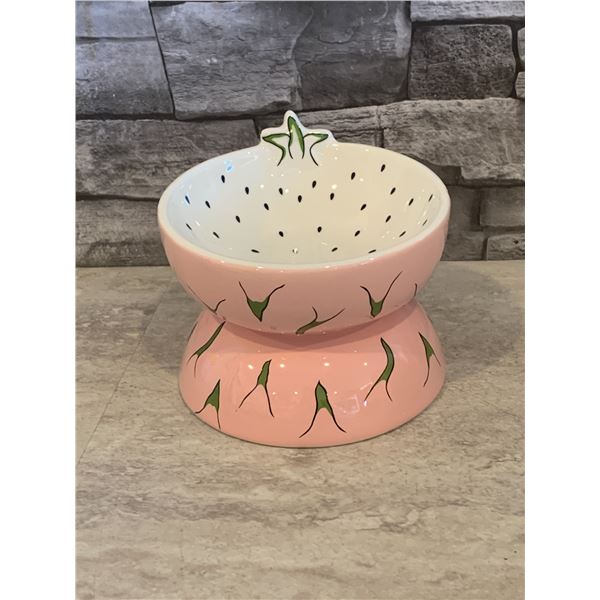 Elevated Cat Food Bowl - Ceramic - Dragon Fruit - New