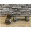 Image 1 : Lot of 2 - Cast Iron Hex Dumbbells - 8lbs each