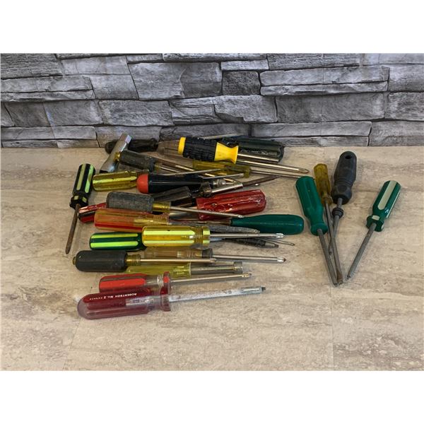 Assorted Screwdrivers - 30 Pcs