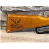 Image 2 : Daisy Buck Lever Action Pellet Gun