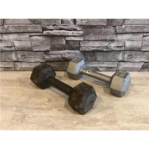 Lot of 2 - Cast Iron Hex Dumbbells - 10lbs each