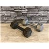 Image 1 : Lot of 2 - Cast Iron Hex Dumbbells - 10lbs each