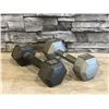 Image 1 : Lot of 2 - Cast Iron Hex Dumbbells - 10lbs each