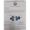 Image 2 : 10K(2.38G), BLUE ZIRCON (APPROX 9.5CT)EARRINGS, APPRAISED INSURANCE  VALUE $2500